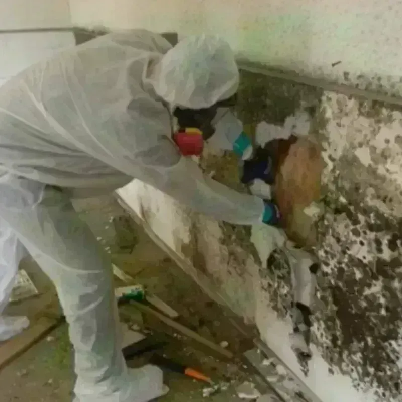 Mold Remediation and Removal in Warsaw, IN