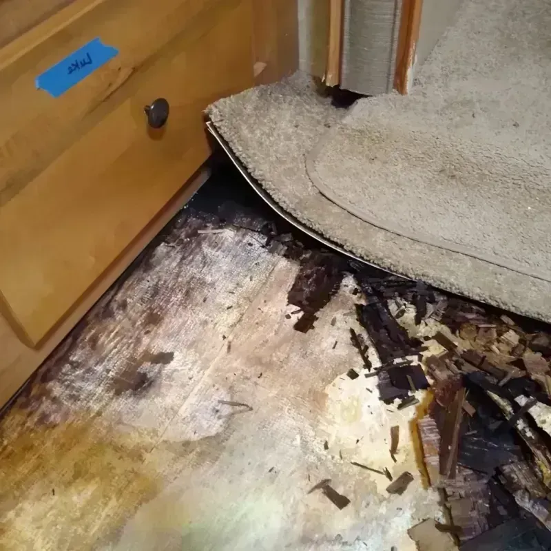 Wood Floor Water Damage in Warsaw, IN